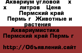 Аквариум угловой  54х54х41 60 литров › Цена ­ 1 000 - Пермский край, Пермь г. Животные и растения » Аквариумистика   . Пермский край,Пермь г.